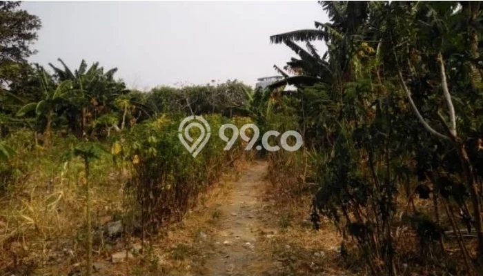 Kavling Tanah untuk Dijual di Kedoya, Jakarta Barat, Luas 2473m2 Kavling Tanah untuk Dijual di Kedoya, Jakarta Barat, Luas 2473m2