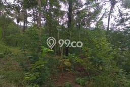 Untuk Dijual Tanah 5900m2 di Kulonprogo, Kulon Progo Untuk Dijual Tanah 5900m2 di Kulonprogo, Kulon Progo