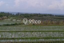 Tanah untuk Dijual di Kerambitan Tabanan Luas 2300m2 Tanah untuk Dijual di Kerambitan Tabanan Luas 2300m2