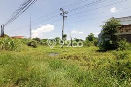 Kavling Tanah di Weleri Dijual Luas 2908m2 Legalitas SHM Kavling Tanah di Weleri Dijual Luas 2908m2 Legalitas SHM