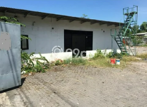 Disewakan Tanah Lokasi Strategis di Kenjeran Surabaya 1500m2 Disewakan Tanah Lokasi Strategis di Kenjeran Surabaya 1500m2
