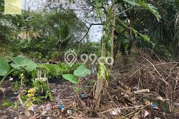 Lahan untuk Dijual Lokasi Tenayan Raya, Pekanbaru Luas 2911m2 SHM Lahan untuk Dijual Lokasi Tenayan Raya, Pekanbaru Luas 2911m2 SHM