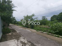 Jarang Ada! Tanah di Banyudono Punya Luas 1589m2 SHM Jarang Ada! Tanah di Banyudono Punya Luas 1589m2 SHM