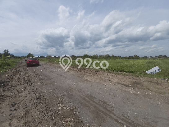 Untuk Dijual Tanah di Delanggu Klaten Luas 9514m2 SHM Untuk Dijual Tanah di Delanggu Klaten Luas 9514m2 SHM