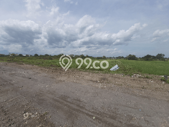 Untuk Dijual Tanah di Delanggu Klaten Luas 9514m2 SHM Untuk Dijual Tanah di Delanggu Klaten Luas 9514m2 SHM
