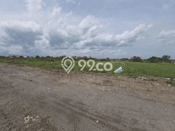 Untuk Dijual Tanah di Delanggu Klaten Luas 9514m2 SHM Untuk Dijual Tanah di Delanggu Klaten Luas 9514m2 SHM