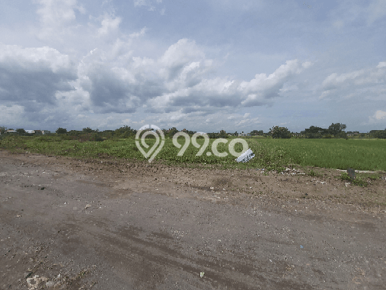 Untuk Dijual Tanah di Delanggu Klaten Luas 9514m2 SHM Untuk Dijual Tanah di Delanggu Klaten Luas 9514m2 SHM