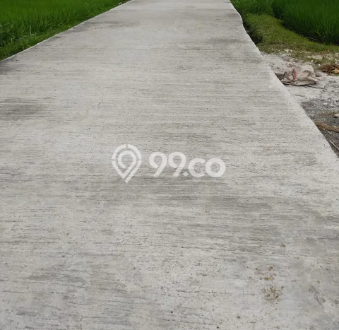 Tanah Kavling di Marga Dijual dengan Luas 100m2 Tanah Kavling di Marga Dijual dengan Luas 100m2