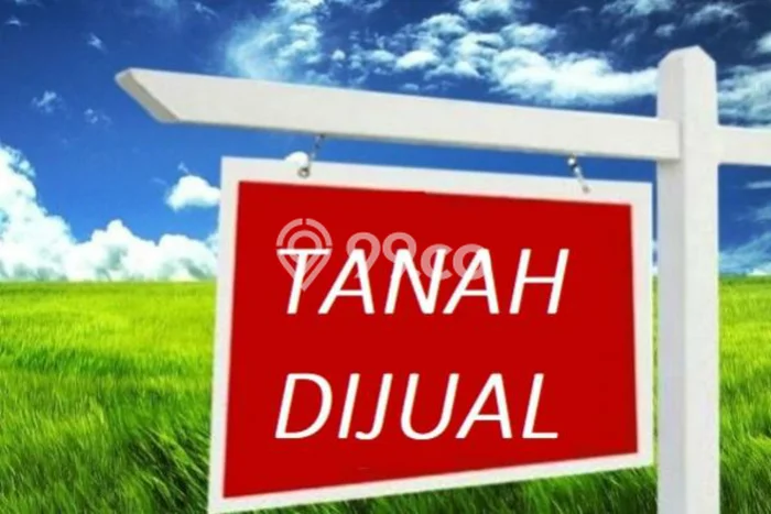 Tanah Dijual Lokasi Bancar, Tuban dengan Luas Tanah 40000m2 dan Status SHM Tanah Dijual Lokasi Bancar, Tuban dengan Luas Tanah 40000m2 dan Status SHM