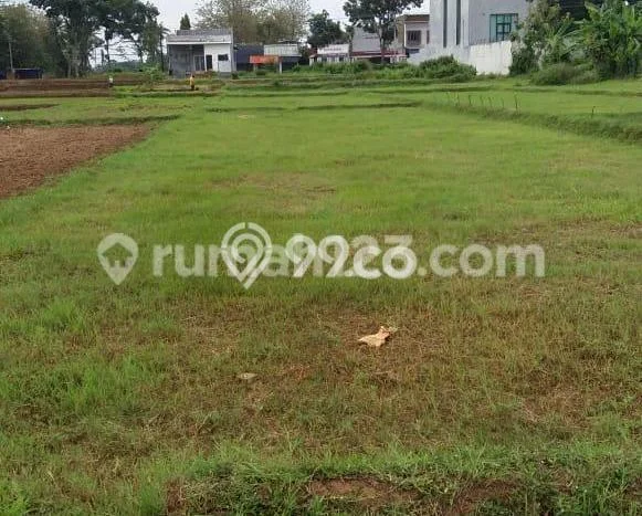 Jarang Ada! Tanah di Purworejo Punya Luas 5000m2 - Jarang Ada! Tanah di Purworejo Punya Luas 5000m2 -