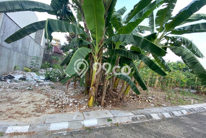 Dijual Tanah Lokasi Tanah Kusir, Jakarta Selatan Seluas 160m2 Dijual Tanah Lokasi Tanah Kusir, Jakarta Selatan Seluas 160m2