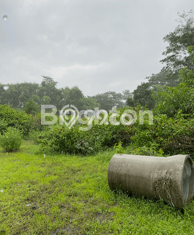 AREA PROSPEKTIF! Tanah Kawasan Purwodadi, Luas 18000m2m², Akses Transportasi AREA PROSPEKTIF! Tanah Kawasan Purwodadi, Luas 18000m2m², Akses Transportasi