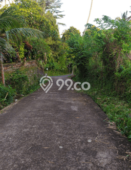 Kavling Tanah Dijual di Ubud Gianyar Spesifikasi 1200m2 Kavling Tanah Dijual di Ubud Gianyar Spesifikasi 1200m2