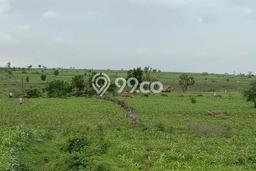 Tanah Strategis Dijual di Suela Lombok Timur 150000m2 Tanah Strategis Dijual di Suela Lombok Timur 150000m2
