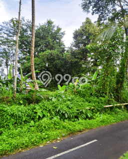 Kavling Tanah Dijual di Ubud Gianyar Spesifikasi 800m2 Kavling Tanah Dijual di Ubud Gianyar Spesifikasi 800m2