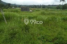 Kavling Tanah di Cugenang Dijual Luas 70000m2 Legalitas SHM Kavling Tanah di Cugenang Dijual Luas 70000m2 Legalitas SHM