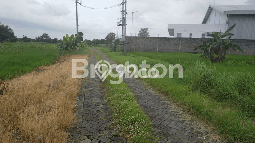 POTENSIAL! Tanah di Menganti, Luas 1000m2m², Area Berkembang POTENSIAL! Tanah di Menganti, Luas 1000m2m², Area Berkembang