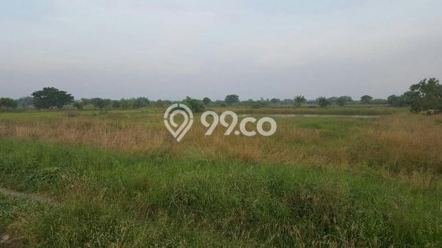 Lahan untuk Dijual di Cerme Gresik Luas 5202m2 Lahan untuk Dijual di Cerme Gresik Luas 5202m2