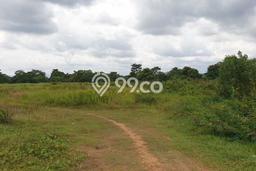 Lahan Strategis di Panongan Dijual dengan Luas 17000m2 Lahan Strategis di Panongan Dijual dengan Luas 17000m2