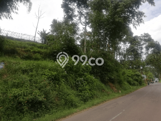 Tanah Siap Bangun Dijual di Bandung Punya Luas 1400m2 Tanah Siap Bangun Dijual di Bandung Punya Luas 1400m2