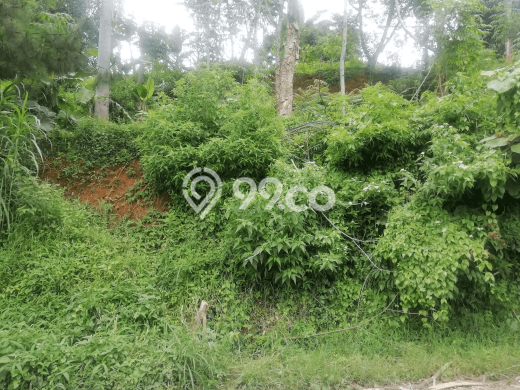 Tanah Siap Bangun Dijual di Bandung Punya Luas 1400m2 Tanah Siap Bangun Dijual di Bandung Punya Luas 1400m2