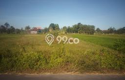 Jarang Ada! Tanah di Godean Punya Luas 1670m2 SHM Jarang Ada! Tanah di Godean Punya Luas 1670m2 SHM