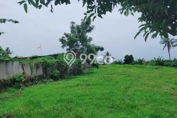 Tanah Kavling Disewakan di Canggu dengan Luas 1200m2 Tanah Kavling Disewakan di Canggu dengan Luas 1200m2