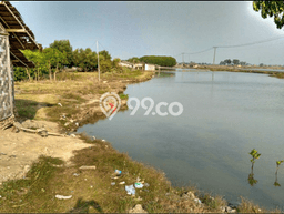 Tanah Kavling di Tirtayasa Dijual dengan Luas 17000m2 Tanah Kavling di Tirtayasa Dijual dengan Luas 17000m2