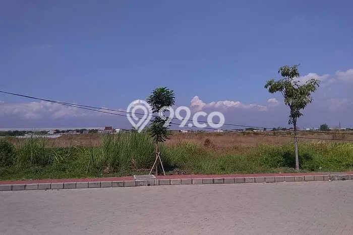 Kavling Tanah di Rembang Dijual Luas 10000m2 Legalitas - Kavling Tanah di Rembang Dijual Luas 10000m2 Legalitas -