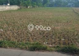 Kavling Tanah Dijual di Rajeg, Tangerang, Luas 2555m2 Area Strategis Kavling Tanah Dijual di Rajeg, Tangerang, Luas 2555m2 Area Strategis