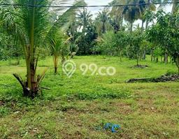 Tanah Kosong Dijual di Buleleng dengan Area 20000m2 Tanah Kosong Dijual di Buleleng dengan Area 20000m2