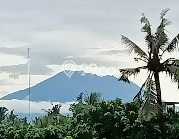 Lahan Disewakan Lokasi Saba Gianyar Luas 700m2 Lahan Disewakan Lokasi Saba Gianyar Luas 700m2
