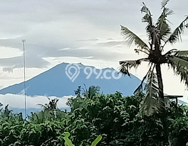 Lahan Disewakan Lokasi Saba Gianyar Luas 700m2 Lahan Disewakan Lokasi Saba Gianyar Luas 700m2