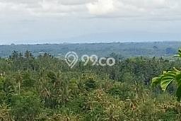 Tanah di Selemadeg, Tabanan Luas 6800m2 Dijual Segera Tanah di Selemadeg, Tabanan Luas 6800m2 Dijual Segera