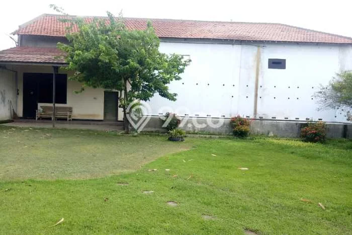 Tanah di Adiwerna, Tegal Luas 1182m2 Dijual Segera Tanah di Adiwerna, Tegal Luas 1182m2 Dijual Segera