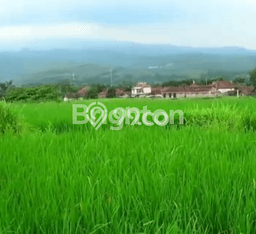 HARGA MENARIK! Tanah Kawasan Gondang, Luas 210000m², Kawasan Berkembang, Bebas Longsor HARGA MENARIK! Tanah Kawasan Gondang, Luas 210000m², Kawasan Berkembang, Bebas Longsor