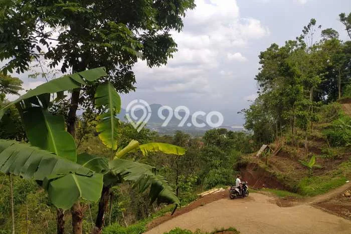 Lahan untuk Dijual di Jatinangor Sumedang Luas 5355m2 Lahan untuk Dijual di Jatinangor Sumedang Luas 5355m2