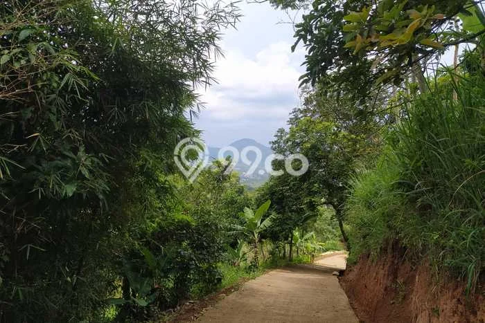 Lahan untuk Dijual di Jatinangor Sumedang Luas 5355m2 Lahan untuk Dijual di Jatinangor Sumedang Luas 5355m2
