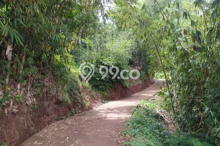 Lahan untuk Dijual di Jatinangor Sumedang Luas 5355m2 Lahan untuk Dijual di Jatinangor Sumedang Luas 5355m2