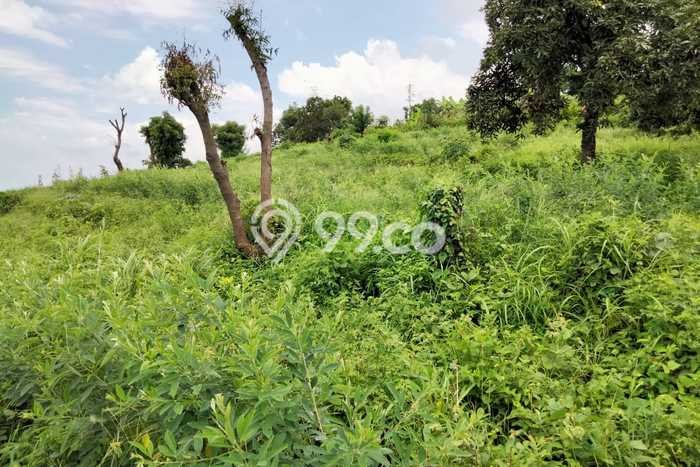 Tanah untuk Dijual Lokasi Kubutambahan, Buleleng Luas 69000m2 SHM Tanah untuk Dijual Lokasi Kubutambahan, Buleleng Luas 69000m2 SHM