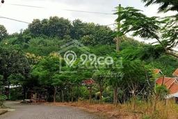 Tanah Dijual Lokasi Ngaliyan, Semarang Luas 9295m2 Legalitas Aman Tanah Dijual Lokasi Ngaliyan, Semarang Luas 9295m2 Legalitas Aman