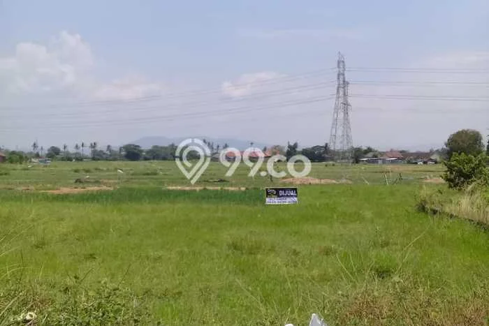 Tanah Dijual Lokasi Purwakarta Cilegon Lain-lain Tanah Dijual Lokasi Purwakarta Cilegon Lain-lain
