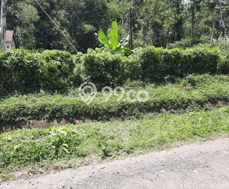 Lahan untuk Dijual Lokasi Bumijawa, Tegal Luas 458m2 SHM Lahan untuk Dijual Lokasi Bumijawa, Tegal Luas 458m2 SHM