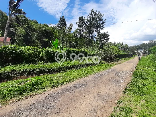 Lahan untuk Dijual Lokasi Bumijawa, Tegal Luas 458m2 SHM Lahan untuk Dijual Lokasi Bumijawa, Tegal Luas 458m2 SHM