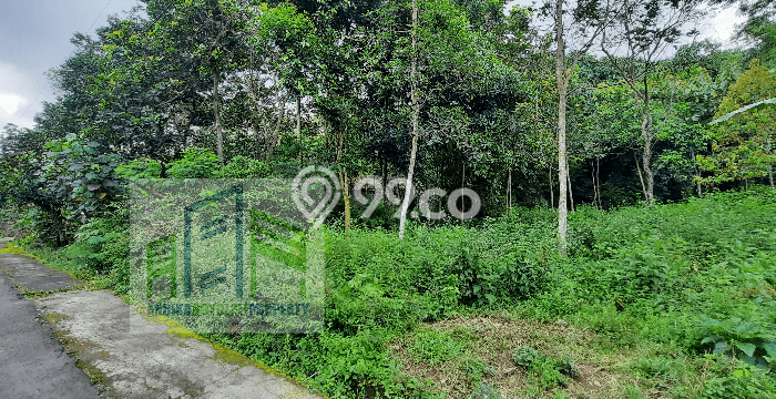 Tanah Kavling Dijual di Boyolali dengan Spesifikasi 2145m2 Tanah Kavling Dijual di Boyolali dengan Spesifikasi 2145m2
