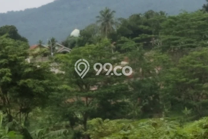Tanah Kosong Dijual di Bogor dengan Area 3000m2 Tanah Kosong Dijual di Bogor dengan Area 3000m2