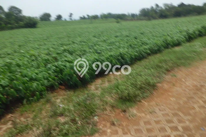Tanah Kosong Dijual di Bogor dengan Area 3000m2 Tanah Kosong Dijual di Bogor dengan Area 3000m2