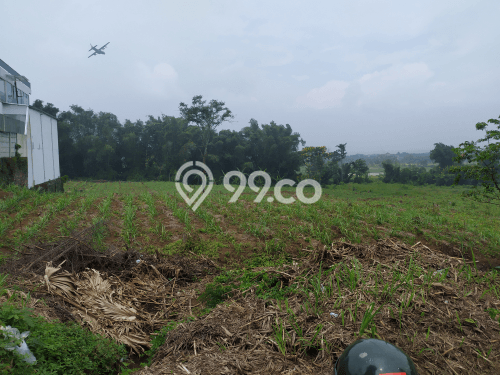 Kavling Tanah di Singosari Dijual Luas 11980m2 Legalitas SHM Kavling Tanah di Singosari Dijual Luas 11980m2 Legalitas SHM