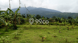 Tanah Dijual Lokasi Cigombong, Bogor Luas 2600m2 Legalitas Aman Tanah Dijual Lokasi Cigombong, Bogor Luas 2600m2 Legalitas Aman