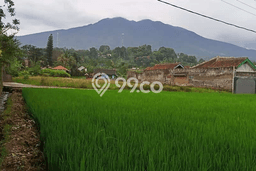 Tanah Dijual Lokasi Cidahu, Sukabumi Luas 2800m2 Legalitas Aman Tanah Dijual Lokasi Cidahu, Sukabumi Luas 2800m2 Legalitas Aman